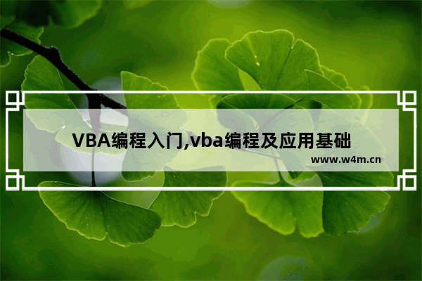 VBA编程入门,vba编程及应用基础