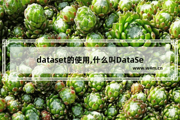 dataset的使用,什么叫DataSet-它由什么组成-