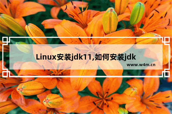 Linux安装jdk11,如何安装jdk15