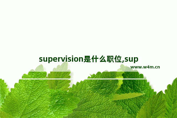 supervision是什么职位,supervisor和manager哪个职位高