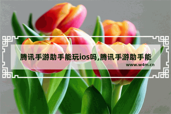 腾讯手游助手能玩ios吗,腾讯手游助手能玩ios游戏吗