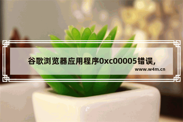 谷歌浏览器应用程序0xc00005错误,谷歌浏览器无法正常启动0xc0000034