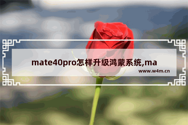 mate40pro怎样升级鸿蒙系统,mate40pro升级鸿蒙系统教程