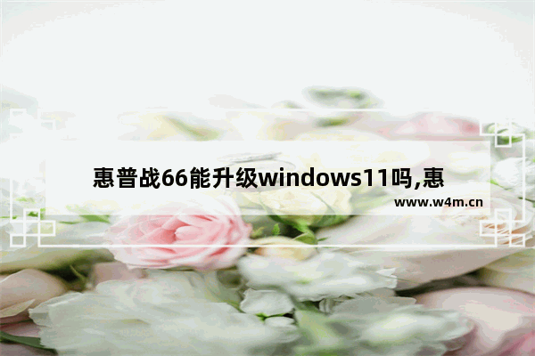 惠普战66能升级windows11吗,惠普战66第四代不能升级win11