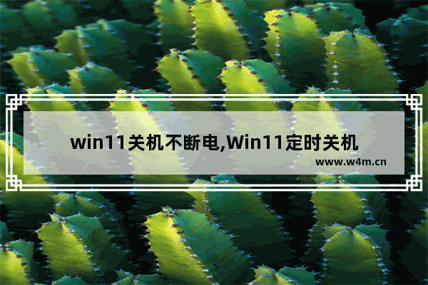 win11关机不断电,Win11定时关机