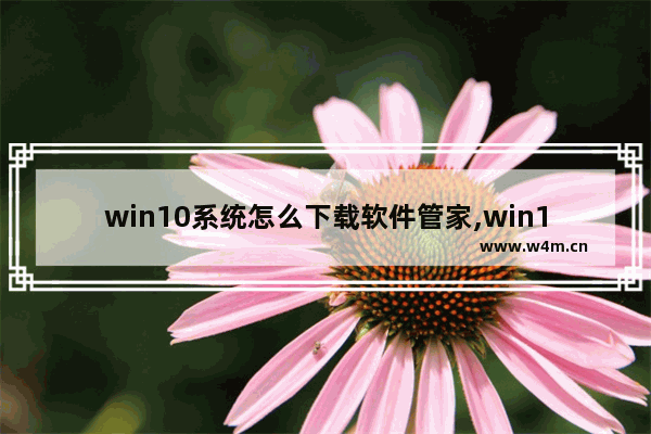 win10系统怎么下载软件管家,win10系统用下载电脑管家吗