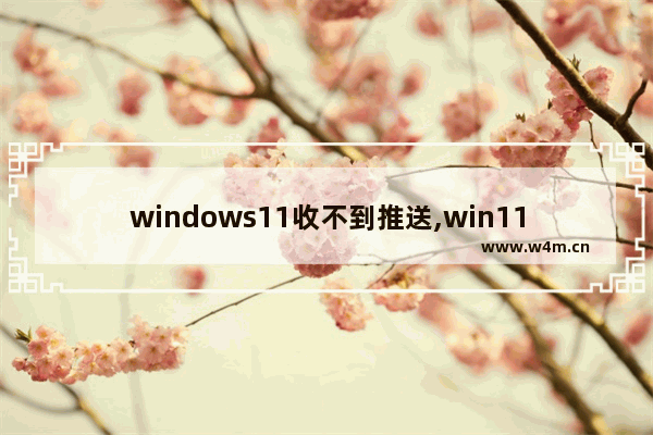 windows11收不到推送,win11预览版没有推送