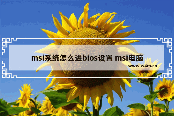 msi系统怎么进bios设置 msi电脑如何进入BIOS设置