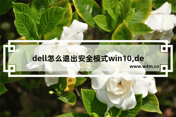 dell怎么退出安全模式win10,dell windows10进入安全模式