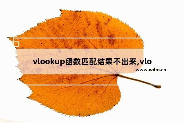 vlookup函数匹配结果不出来,vlookup函数无法匹配原因