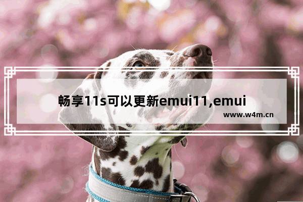 畅享11s可以更新emui11,emui11更新体验