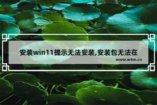 安装win11提示无法安装,安装包无法在win10运行