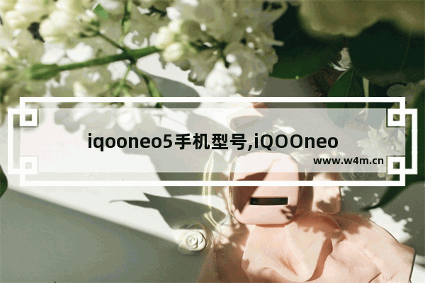 iqooneo5手机型号,iQOOneo手机参数