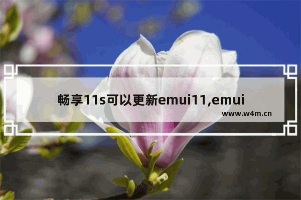 畅享11s可以更新emui11,emui11更新体验