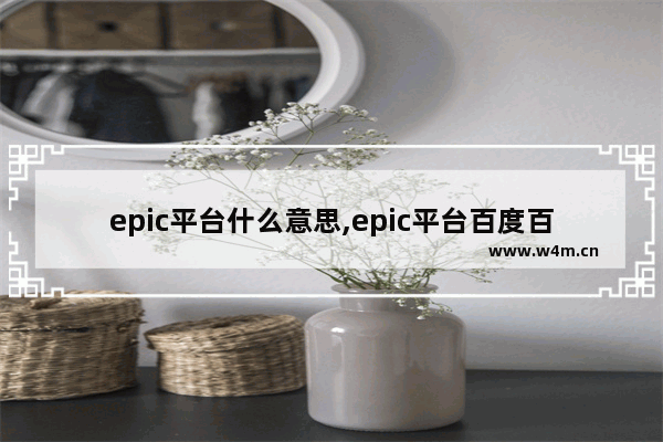 epic平台什么意思,epic平台百度百科