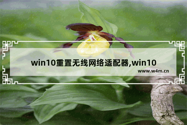 win10重置无线网络适配器,win10重装系统后连不上网让重置适配器也联不上