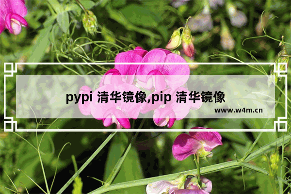 pypi 清华镜像,pip 清华镜像