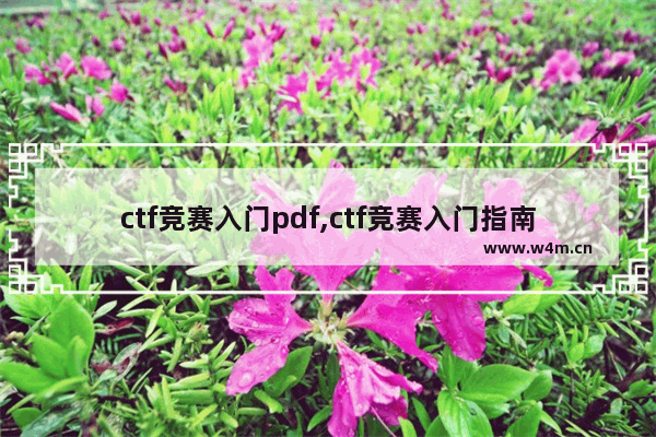 ctf竞赛入门pdf,ctf竞赛入门指南