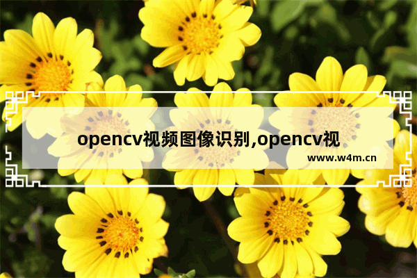 opencv视频图像识别,opencv视频采集