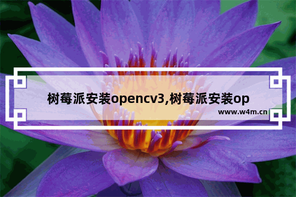 树莓派安装opencv3,树莓派安装opencv2