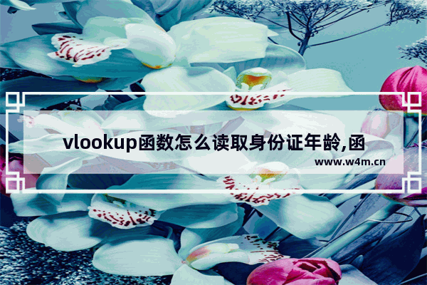 vlookup函数怎么读取身份证年龄,函数vlookup的读法