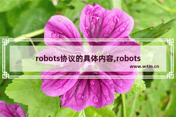 robots协议的具体内容,robots协议全称