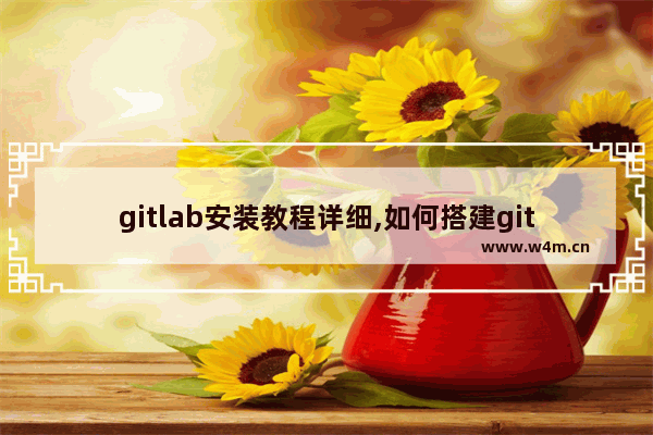 gitlab安装教程详细,如何搭建gitlab