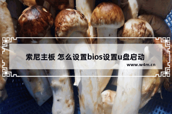 索尼主板 怎么设置bios设置u盘启动 如何设置索尼主板以U盘启动？