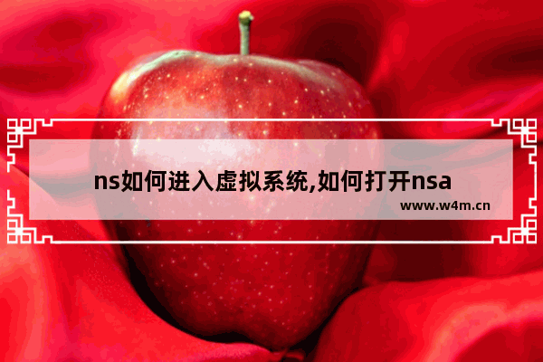 ns如何进入虚拟系统,如何打开nsa