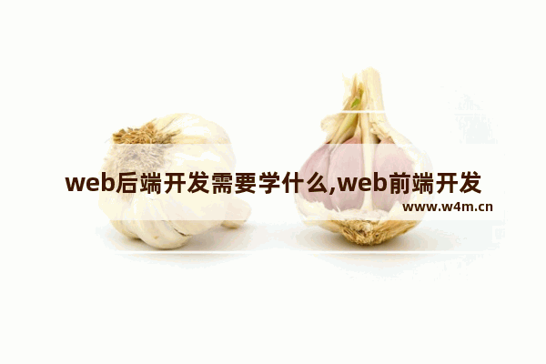 web后端开发需要学什么,web前端开发可以学到什么