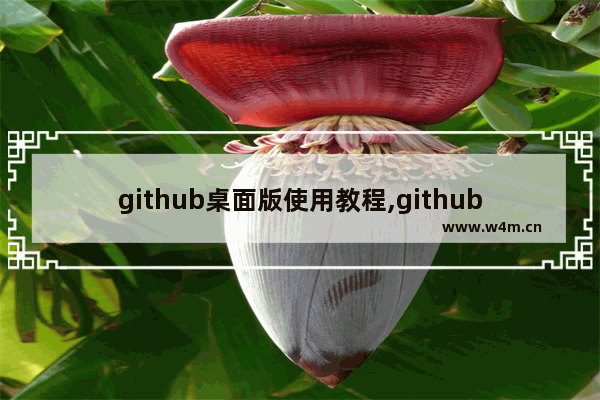 github桌面版使用教程,github背景图