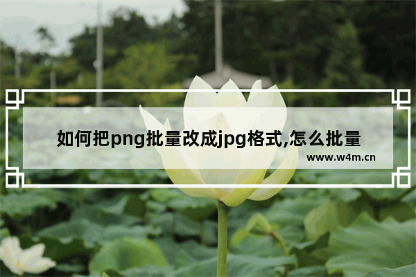 如何把png批量改成jpg格式,怎么批量把png图片转换成jpg格式