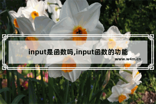 input是函数吗,input函数的功能是什么