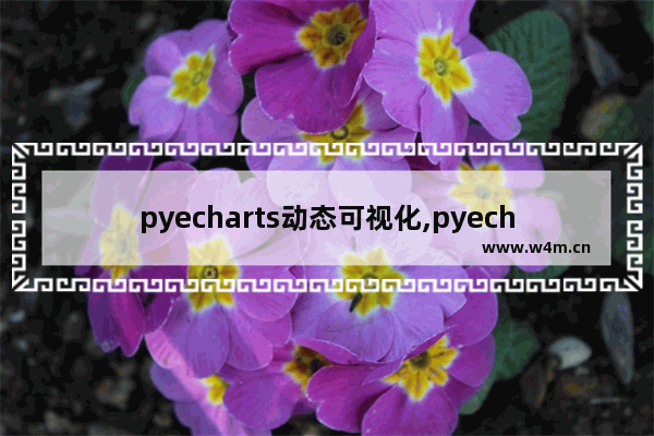 pyecharts动态可视化,pyecharts数据分析