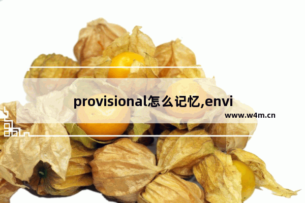 provisional怎么记忆,envision记忆方法