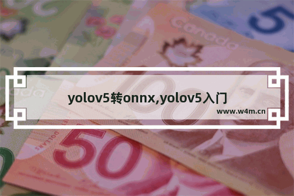 yolov5转onnx,yolov5入门