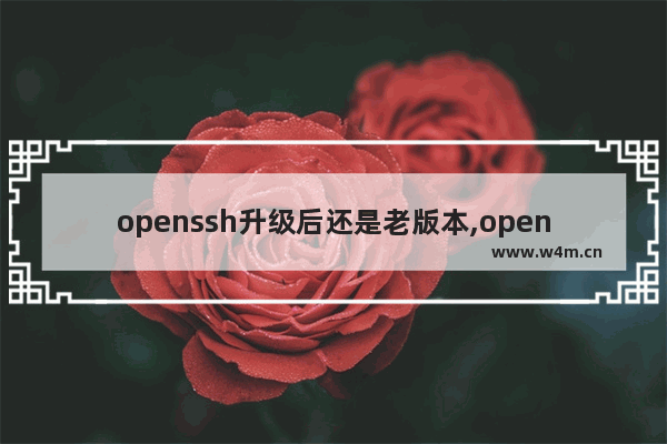 openssh升级后还是老版本,openssl怎么升级到最新版本