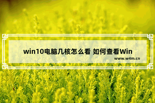 win10电脑几核怎么看 如何查看Win10电脑CPU核心数