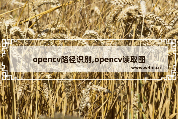 opencv路径识别,opencv读取图片