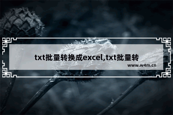 txt批量转换成excel,txt批量转pdf