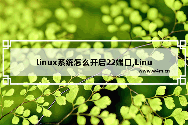 linux系统怎么开启22端口,Linux修改21端口