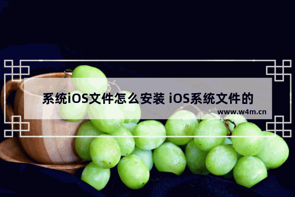 系统iOS文件怎么安装 iOS系统文件的安装方法