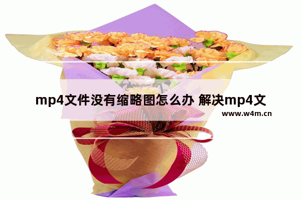 mp4文件没有缩略图怎么办 解决mp4文件缩略图不显示的问题