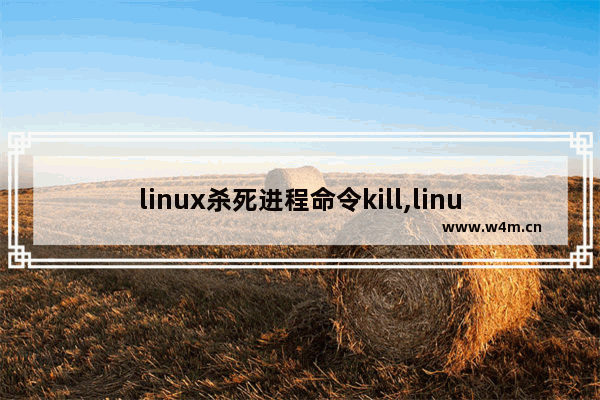 linux杀死进程命令kill,linux下杀死进程