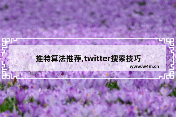 推特算法推荐,twitter搜索技巧