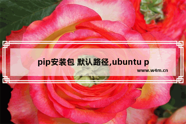 pip安装包 默认路径,ubuntu pip 安装