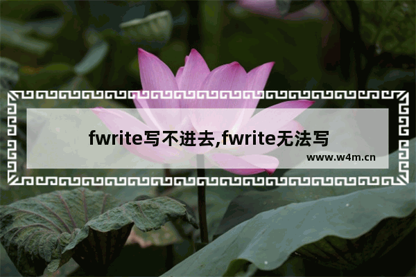 fwrite写不进去,fwrite无法写入