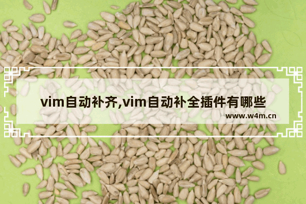 vim自动补齐,vim自动补全插件有哪些