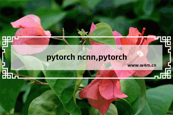 pytorch ncnn,pytorch snn