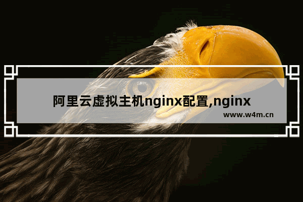 阿里云虚拟主机nginx配置,nginx 服务器配置